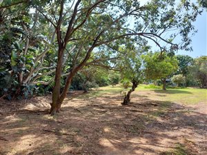 1032 m² Land available in Port Edward
