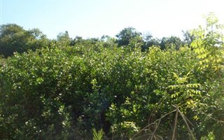 2481 m² Land available in Seatides