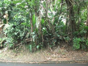1044 m² Land available in Ramsgate