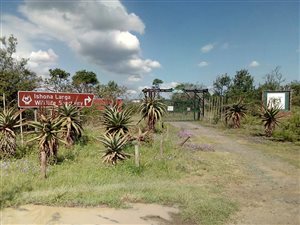 138 ha Farm in Ashburton