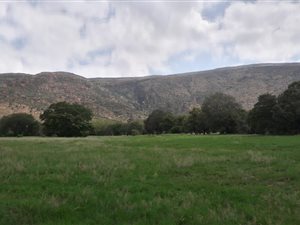 972 m² Land available in Wigwam