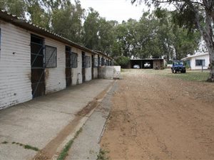 16.8 ha Farm in Vaal Dam