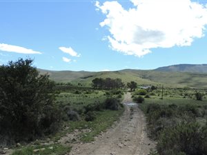 4534 ha Farm in Cradock