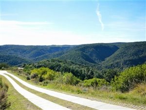 4472 m² Land available in Pezula Private Estate