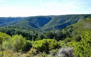 4472 m² Land available in Pezula Private Estate