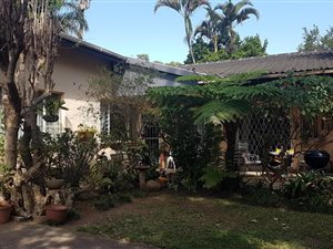 3 Bed House in Yellowwood Park
