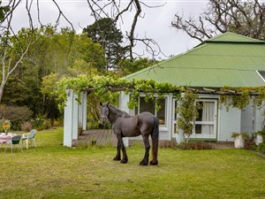 4 Bed House in Glenwood