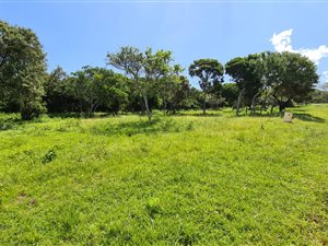 809 m² Land available in Cintsa
