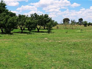 17 ha Farm in Vaalfontein