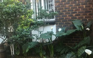 2 Bedroom Apartment in Witpoortjie