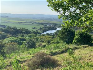 1326 m² Land available in Mtunzini