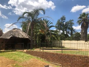 3 Bed House in Lambton