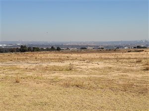 1 ha Land available in Allandale