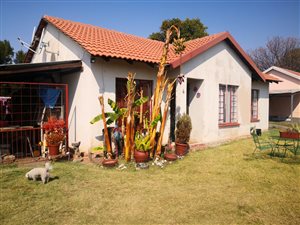 3 Bed House in Oos-Einde