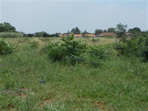 1.6 ha Land available in Kookrus