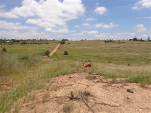8.5 ha Land available in Rietfontein