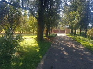 2.2 ha Farm in Bainsvlei