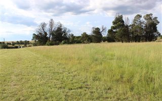 1 ha Land available in Saddlebrook Estate