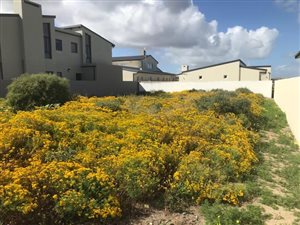 400 m² Land available in Sunset Estate