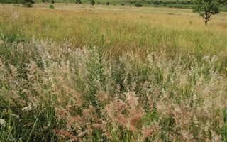 5 ha Land available in Mooiplaats AH