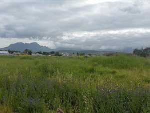 1.3 ha Land available in Gordons Bay Central