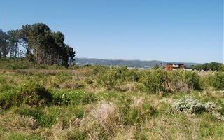 593 m² Land available in Lake Brenton