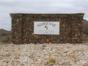 4786 ha Farm in Laingsburg