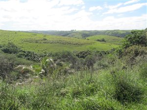 858 m² Land available in Morgans Bay
