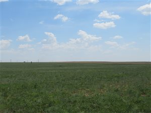 120 ha Farm in Bronkhorstspruit