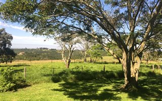 21.6 ha Farm in Beacon Bay