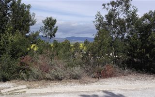 695 m² Land available in Caledon