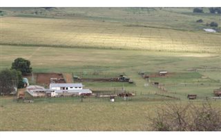 282 ha Farm in Klerksdorp