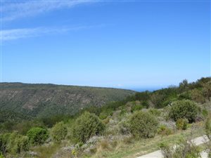 4076 m² Land available in Pezula Private Estate