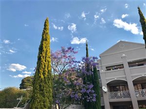 2 Bed Apartment in Riviera