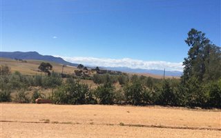 1339 m² Land available in Koringberg