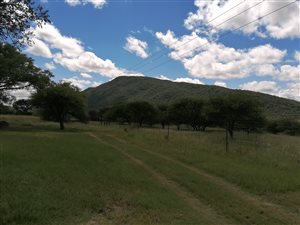 21 ha Farm in Mokopane