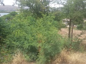 515 m² Land available in Kosmos