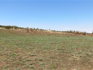 1.4 ha Land available in Belfast