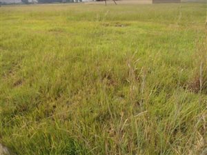 830 m² Land available in Bakerton