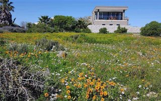843 m² Land available in Myburgh Park