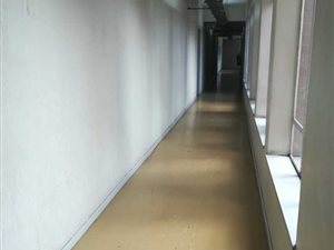 1 Bed Flat in Johannesburg Central