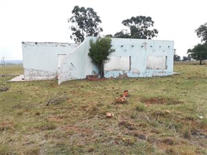 4 ha Land available in Homestead Apple Orchards