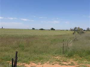 245 ha Farm in Hennenman