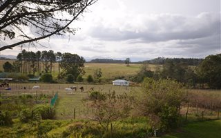 4.7 ha Farm in Harkerville