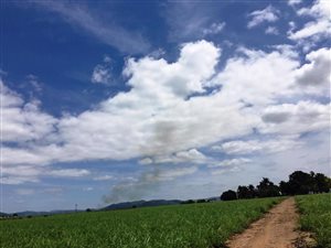145 ha Farm in Pongola