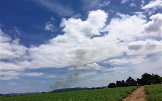 145 ha Farm in Pongola