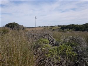 64 ha Farm in Jongensfontein