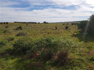 64 ha Farm in Jongensfontein