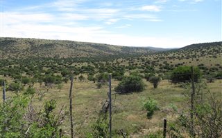 2191 ha Farm in Adelaide