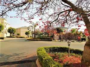 2 Bed Apartment in Summerset